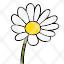 daisy-flower-spring-gardening-plant-icon