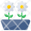 daisy-flowers-floweret-blossom-flowerpot-nature-icon