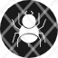 dangerous-insect-poison-spider-tarantula-wildlife-amazon-river-icon-vector-design-icons-icon