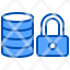 database-data-security-icon