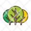 deciduous-forest-nature-plant-tree-icon