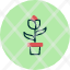 decoration-garden-leaf-plants-pot-potted-nature-icon