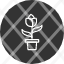 decoration-garden-leaf-plants-pot-potted-nature-icon