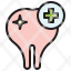 dental-caredentist-tooth-healthcare-and-medical-molar-icon