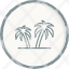 desert-island-oasis-palm-tree-icon