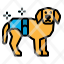 diaper-animal-pet-dog-icon