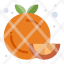 diet-food-fruit-healthy-orange-icon