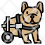 disabled-dog-wheelchair-paralyzed-veterinary-charity-petcare-strolling-cart-icon