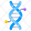 dna-deoxyribonucleic-acid-dna-strand-genetic-material-double-helix-strand-icon