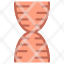 dna-structure-icon