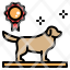 dog-show-contest-breeding-kennels-breeder-golden-retriever-icon