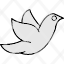 dove-animal-freedom-nature-peace-icon