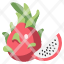 dragon-fruit-agriculture-fresh-healthy-food-bunch-icon