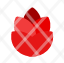 dragon-fruit-chinese-icon