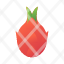 dragon-fruit-healthy-icon