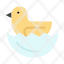duck-egg-easter-icon