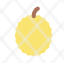 durian-fruit-tropical-icon