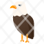 eagle-animal-icon