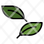 eco-environment-leaf-nature-icon