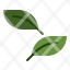 eco-environment-leaf-nature-icon
