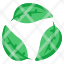 eco-recycling-eco-reprocess-ecology-recycling-leaves-recycling-leaves-reprocess-icon