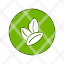 ecologic-energy-organic-plant-sustainable-green-icon