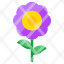 ecology-daisy-flower-floweret-blossom-bloom-icon