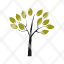 ecology-flower-nature-plant-tree-icon