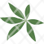 ecology-foliage-herb-jungle-leaf-leaves-plant-icon