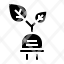 ecology-icon