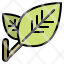 ecology-leaf-nature-environment-icon