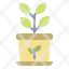 ecology-plant-tree-growth-agriculture-icon