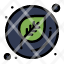 education-leaf-school-icon