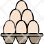 egg-carton-eggs-tray-food-chicken-icon