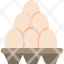 egg-carton-eggs-tray-food-chicken-icon