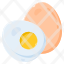 egg-icon