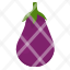 eggplant-vegetable-food-plant-fruit-icon
