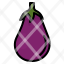 eggplant-vegetable-food-plant-fruit-icon