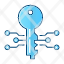 electronic-key-icon