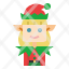 elf-christmas-woman-character-costume-icon