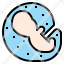 embryology-embryo-fetus-development-live-growth-pregnancy-icon