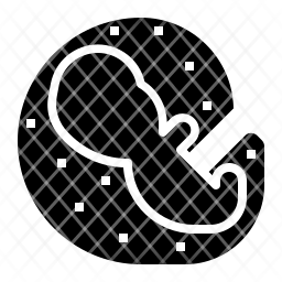 embryology icon, embryo icon, fetus icon, development icon, live icon ...