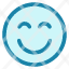 emoticon-smile-smiley-emotion-expression-feedback-feeling-icon