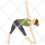 extended-triangle-pose-yoga-icon