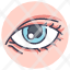 eye-body-eyesight-human-iris-vision-icon