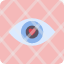 eye-look-see-sight-spy-view-watch-icon