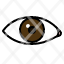 eye-vision-biometrics-ophthalmology-watch-lens-pupils-icon
