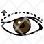 eyelid-surgery-blepharoplasty-lift-ocular-myopathy-droopy-icon