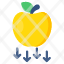 falling-apple-gravitational-force-physics-falling-fruit-attracting-force-icon