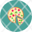 fast-food-italian-junk-pizza-icon